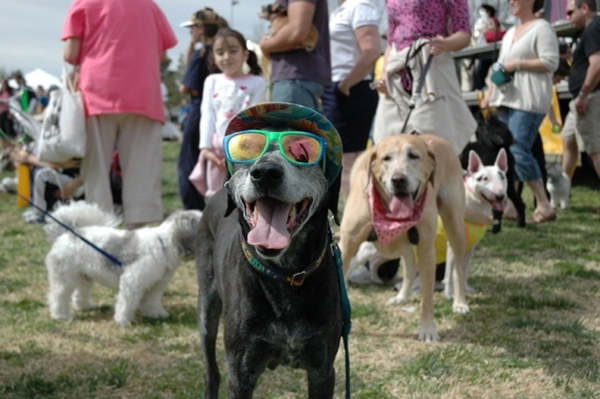 Bark in the Park is set for March 5 at Cornerstone Park, 1600 Wigwam Parkway. Special to View