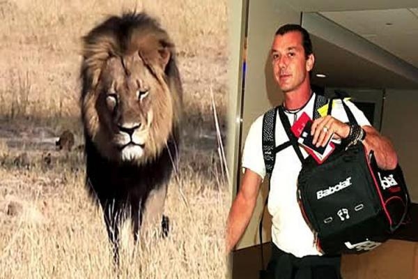 Suburban Minneapolis dentist Walter Palmer has admitted to killing Cecil the lion.