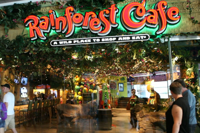 Get A Sneak Peek At The Strip S New Rainforest Cafe Video