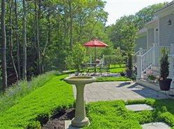 Clover comeback: Today's twist to a lush, green, easy, eco-smart lawn alternative