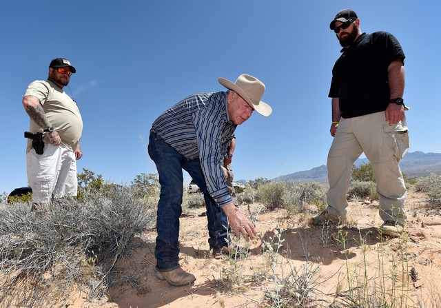 Rancher Cliven Bundy, center, flanked by armed security, examines the desert foliage where his cattle continues to graze during an event near his ranch in Bunkerville on Saturday, April 11, 2015.  ...