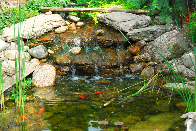 Create Backyard Retreat With A Koi Pond, Outdoor Koi Pond