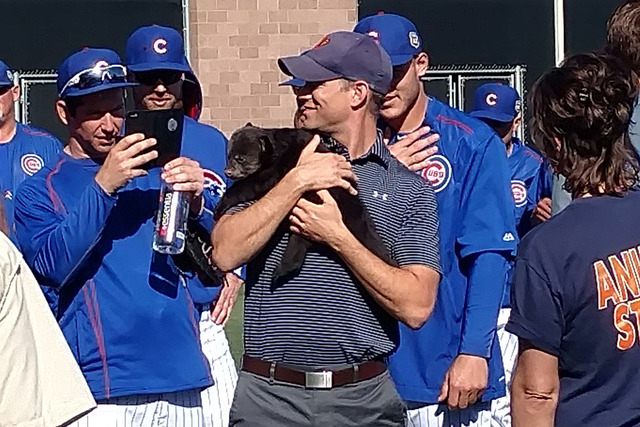 Cubs Present MiLB Awards at Spring Training 