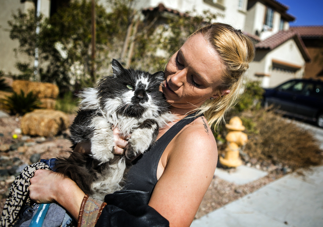 Daisy, not her real name, holds Meister, her roommate's cat, on Wednesday, Feb. 23, 2016. Jeff Scheid/Las Vegas Review-Journal Follow @jlscheid