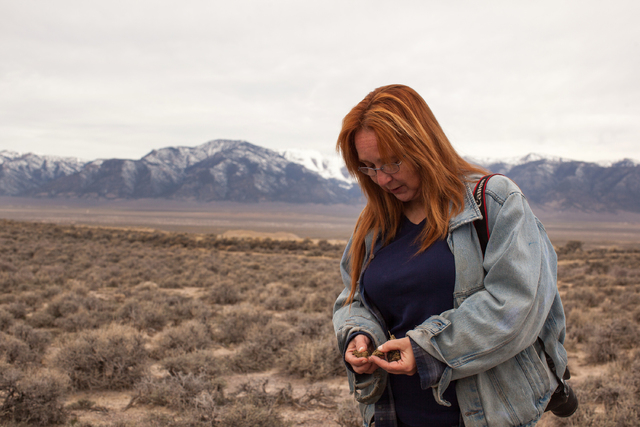 Laura Leigh, horse activist, examines the properties of horse poop in a horse management area of Antelope Valley, Nev. on Thursday March 3, 2016. Randi Lynn Beach/Las Vegas Review-Journal