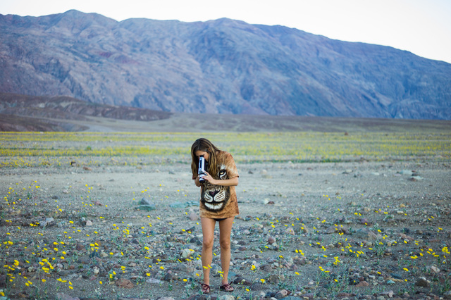 Olivia Wyatt films wildflowers with a Super 9 camera along Badwater Road in Death Valley National Park, Calif., on Saturday, Feb. 27, 2016. The National Park Service said in a statement that the " ...