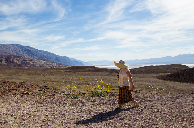 Bailing Zhang of Palos Verdes, Calif. walks past wildflowers during a stop along Artists Drive in Death Valley National Park, Calif. on Saturday, Feb. 27, 2016. The National Park Service said in a ...