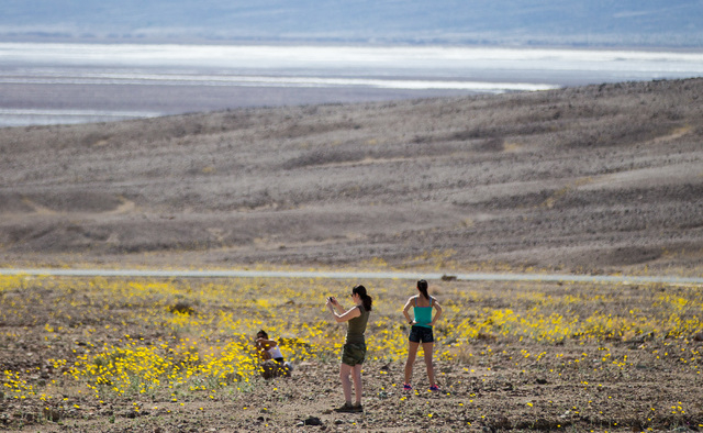 Markella Hall, from left, Melissa Pacult, and Angelique Balistreri explore wildflowers along Artists Drive at Badwater Road in Death Valley National Park, Calif., on Saturday, Feb. 27, 2016. The N ...
