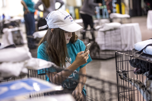 Sophia Judice takes a photo of Sierra, a 4-month-old pointer mix, before the Animal Foundation's 13th Annual Best in Show adoption event at the Orleans Arena in Las Vegas on Sunday, April 10, 2016 ...