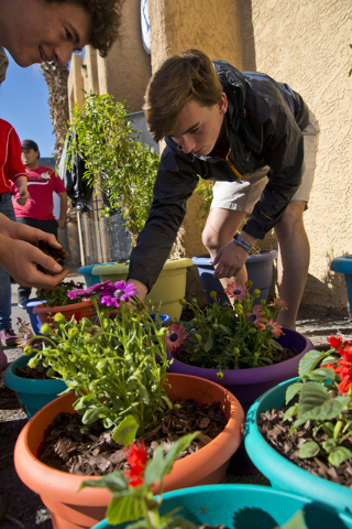 Cody Buckley, left, and Matthew Wickenhiser spread plant bedding into pots during a volunteer event held by the Gaels Give Hope organization from Bishop Gorman High School, benefitting a New Genes ...