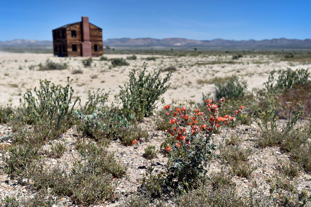 One of the remaining structures of "Survival Town" is seen in Area 1 at the Nevada National Security Site on Wednesday, April 20, 2016. (David Becker/Las Vegas Review-Journal) Follow @davidjaybecker