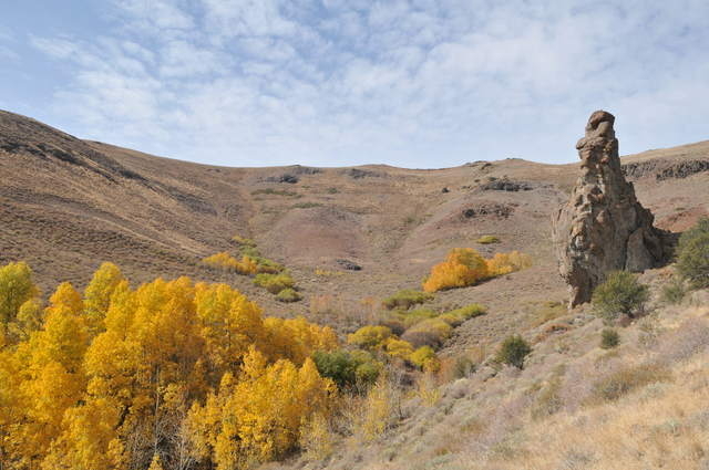 Aspen trees display fall colors in October 2015 near Hinkey Summit, 50 miles north of Winnemucca, where U.S. 8th Cavalry soldiers and Paiute warriors clashed on April 29, 1868.(Sgt. Emerson Marcus ...