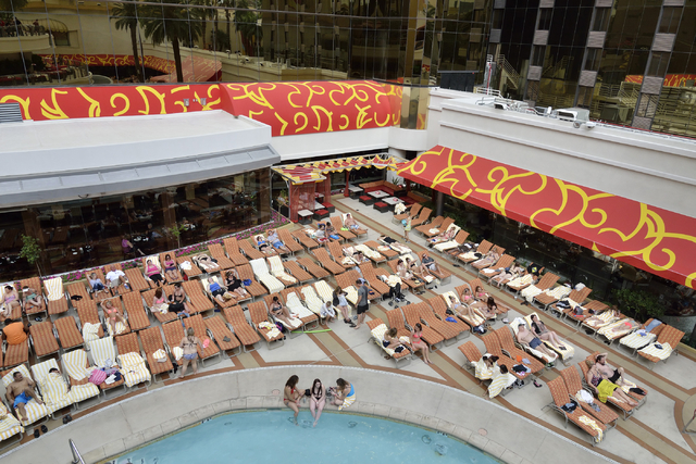 Swim with the sharks at the Golden Nugget — PHOTOS