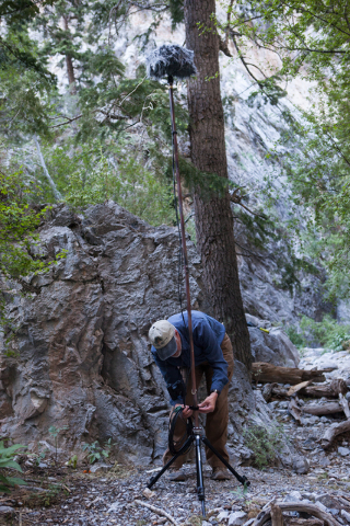 Fred Bell sets up his sound recording equipment in Fletcher Canyon at Mount Charleston on Thursday, June 19, 2014. Bell goes to various areas to record the sounds of nature, usually for hours at a ...
