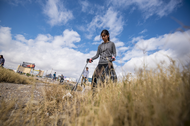 Rachel Ugarte picks up garbage during the cleanup of the newly acquired UNLV site off of Tropicana Avenue east of Koval Lane in Las Vegas on Saturday, April 9, 2016.  (Joshua Dahl/Las Vegas Review ...