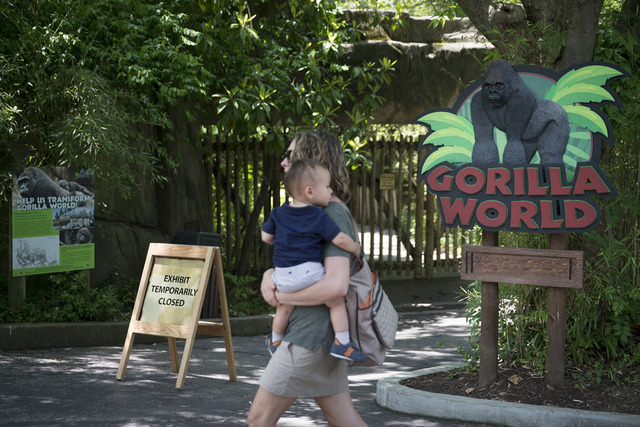 A visitor with a small child passes outside the shuttered Gorilla World exhibit at the Cincinnati Zoo & Botanical Garden, Sunday, May 29, 2016, in Cincinnati. On Saturday, a special zoo respon ...