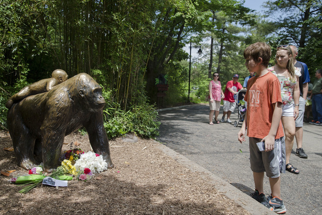 Visitors pass a gorilla statue where flowers have been placed outside the Gorilla World exhibit at the Cincinnati Zoo & Botanical Garden, Sunday, May 29, 2016, in Cincinnati. On Saturday, a sp ...