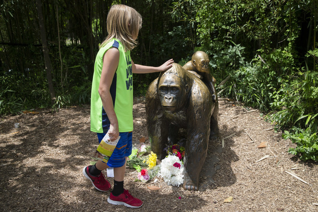A child touches the head of a gorilla statue where flowers have been placed outside the Gorilla World exhibit at the Cincinnati Zoo & Botanical Garden, Sunday, May 29, 2016, in Cincinnati. (Jo ...