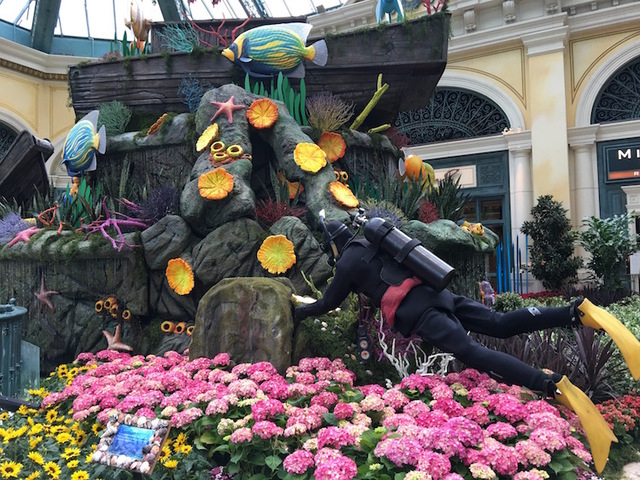 A floral display is shown on the opening night of the Bellagio Conservatory's "Under the Sea" summer display on Friday, May 20, 2016. (Caitlin Lilly/Las Vegas Review Journal)
