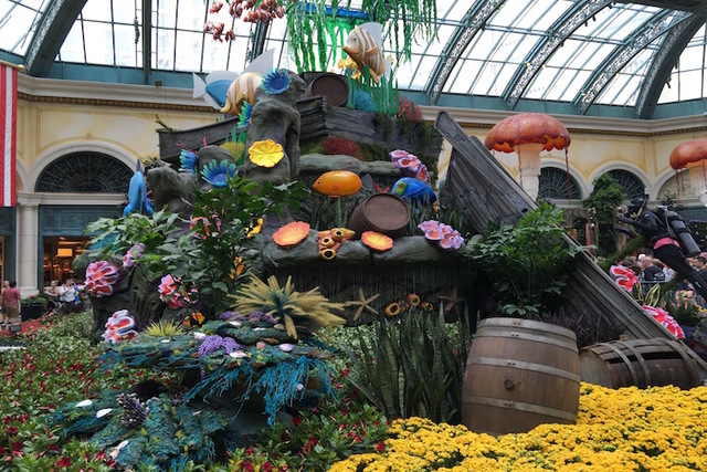 A floral display is shown on the opening night of the Bellagio Conservatory's "Under the Sea" summer display on Friday, May 20, 2016. (Caitlin Lilly/Las Vegas Review Journal)