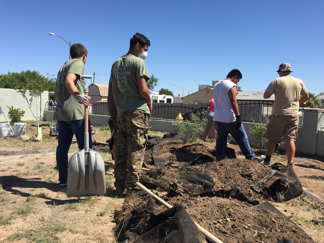 Army Jr. ROTC cadets get ready to dig in to piles of dead grass they removed from Marina Vance's front yard in Henderson Saturday, May 14, 2016. Her son, Spc. Ignacio "Nacho" Ramirez, died 10 year ...