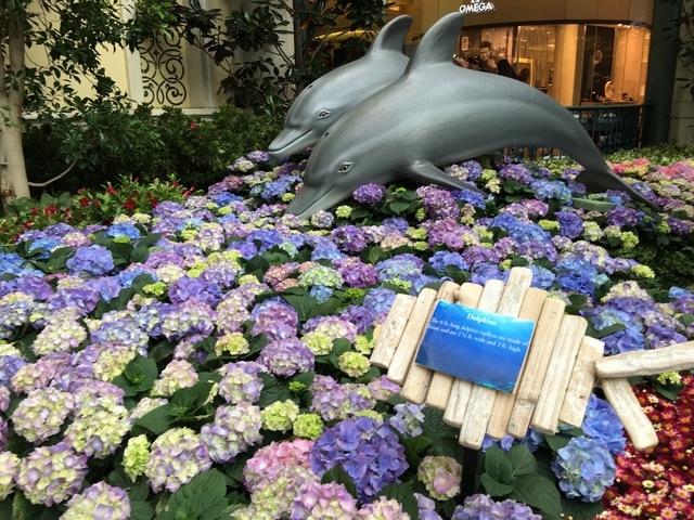 Two 6 ft. long dolphins made of foam add to the impress "Under the Sea" display the Bellagio Conservatory on Friday, May 20, 16. (Caitlin Lilly/Las Vegas Review-Journal)