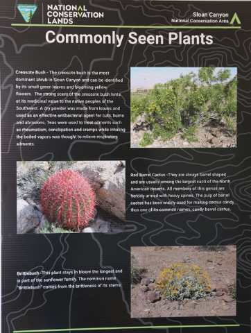 A poster is posted at Sloan Canyon National Conservation's temporary Visitors Center on Thursday, May 19, 2016. The BLM Thursday dedicated the first paved access to the area and other visitor amen ...