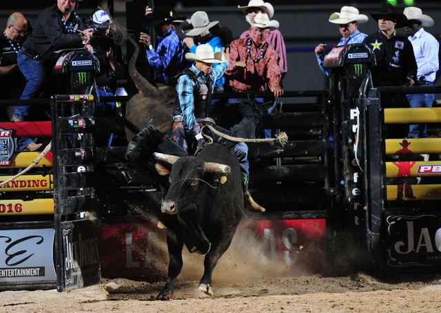 PBR Mexico Luis Potosi - Professional Bull Riders