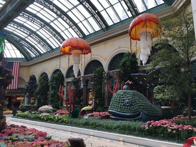 Dressed in 650 Echeveria Succulents, the Conservatory's whale display is shown with two jellyfish floating above on Friday, May 20, 2016. (Caitlin Lilly/Las Vegas Review-Journal)