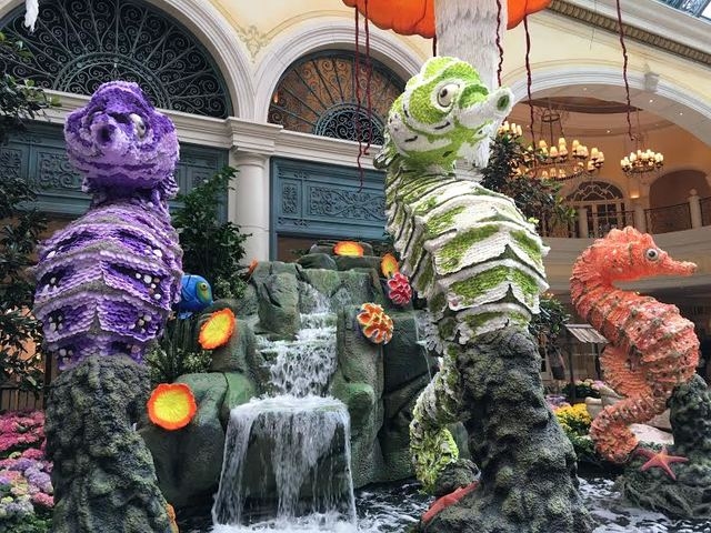 The trio of colorful seahorses is shown at the Bellagio Conservatory on Friday, May 20, 2016. (Caitlin Lilly/Las Vegas Review-Journal)