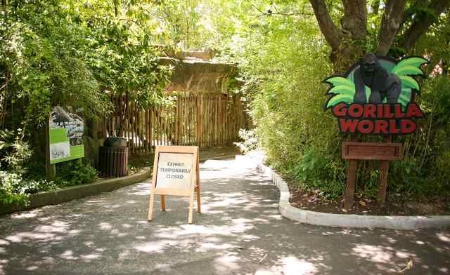 The entrance to the Cincinnati Zoo's Gorilla World exhibit is closed, two days after a boy tumbled into its moat and officials were forced to kill Harambe, a Western lowland gorilla, in Cincinnati ...