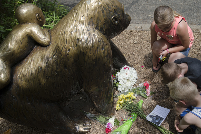 Children pause at the feet of a gorilla statue where flowers and a sympathy card have been placed, outside the Gorilla World exhibit at the Cincinnati Zoo & Botanical Garden, Sunday, May 29, 2 ...