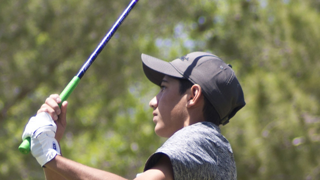 Cameron Barzekoff, Palo Verde: The sophomore shot 2-over 146 to finish fifth in the Division I state tournament. He finished sixth in the Sunset Region tournament.