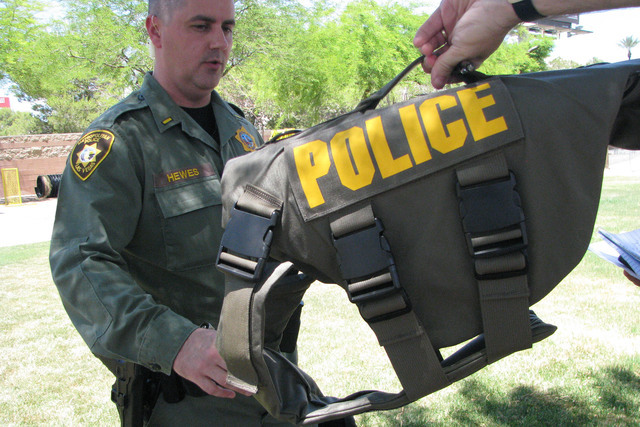 Lt. Jeff Hewes, K-9 section commander for The Las Vegas metropolitan Police department  discusses the pros and cons of bullet proof vests for dogs on May 12, 2016 at the K9 office behindSouth Cent ...
