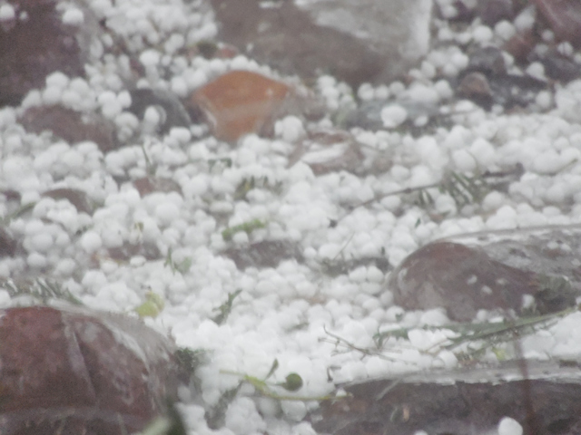 Hail piles up in a yard on Brockton Way in Henderson Thursday, June 30, 2015. Natalie Burt/Special to the Las Vegas Review-Journal