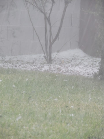 Hail piles up in a yard on Brockton Way in Henderson Thursday, June 30, 2015. Natalie Burt/Special to the Las Vegas Review-Journal
