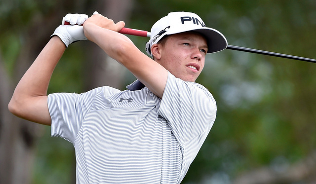 Hazen Newman, Arbor View: The freshman shot 9-over 153 to finish tied for 14th in the Division I state tournament. He finished fourth in the Sunset Region tournament.