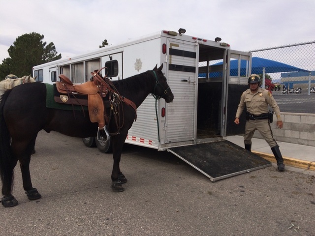 Metro Officer Tim Ruiz prepares to put his horse, Morgan, a 15-year-old gelding, into Metro's horse trailer May 20, 2016, at Marc A. Kahre Elementary School. Jan Hogan/View