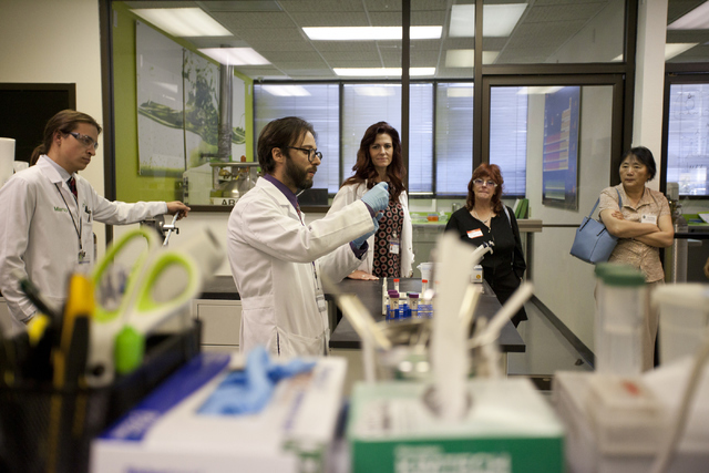 DB Labs director Savino Sguera, right, and CEO Susan Bunce give a tour of their lab on Friday, June 3, 2016, in Las Vegas. DB Labs is the first lab licensed to test medical marijuana in Southern N ...