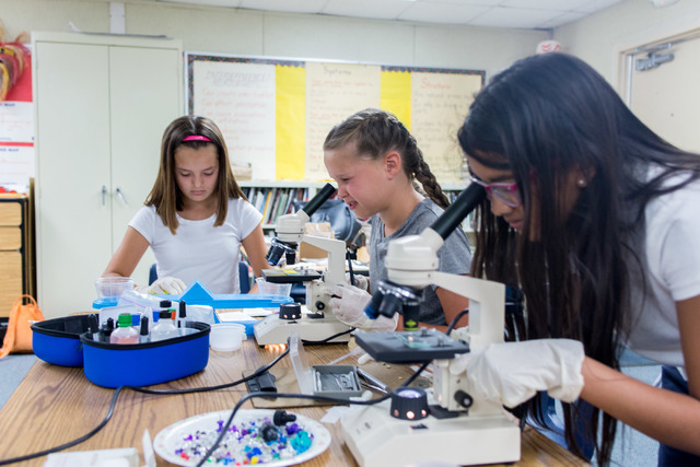 Avery Sanford, left, Kendall Allgower, and Shani Abeyakoon, fifth-grade students at John C. Vanderburg Elementary School, work on a seed experiment at their school in Henderson Thursday, June 23,  ...