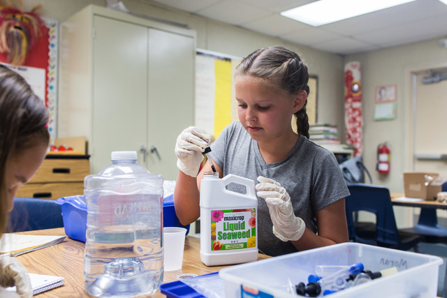 Kendall Allgower, a fifth-grade student at John C. Vanderburg Elementary School, works on an experiment conducted with two of her classmates at their school in Henderson Thursday, June 23, 2016 th ...