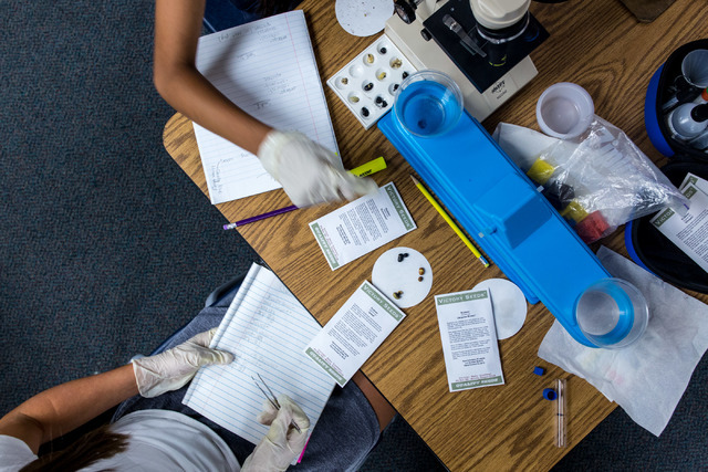 Fifth-grade students at John C. Vanderburg Elementary School work on a seed experiment Thursday, June 23, 2016 ath their school in Henderson that astronauts at the International Space Station will ...
