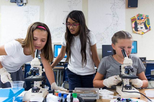 Avery Sanford, left, Shani Abeyakoon, and Kendall Allgower, fifth-grade students at John C. Vanderburg Elementary School, work on a seed experiment at their school in Henderson Thursday, June 23,  ...