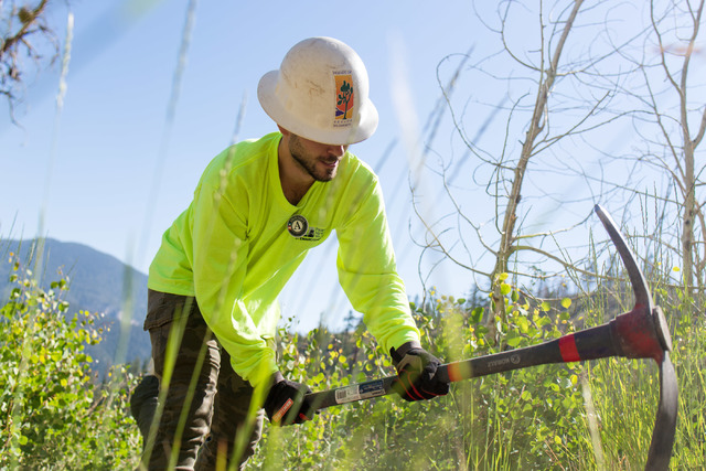 Luke Burns, an intern with Friends of Nevada Wilderness, works with other crews members from Great Basin Institute and volunteers from Friends of Nevada Wilderness on the South Loop Trail of Moun ...