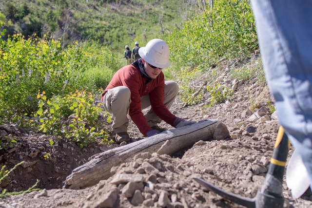 Volunteer Ethan Crisp helps crews from Great Basin Institute and volunteers from Friends of Nevada Wilderness work on the South Loop Trail of Mount Charleston, Saturday June 25, 2016, which has be ...