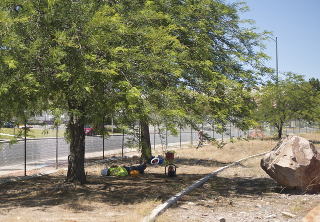 Construction worker Edgar Castellanos takes a break in the shade of a tree on Horizon Drive in Henderson on Friday, June 17, 2016. Daniel Clark/Las Vegas Review-Journal Follow @DanJClarkPhoto