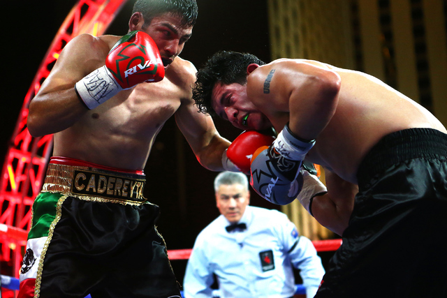 Rolando "Rola" Garza and Erasmo "The Reckoning" Garcia fight during the Knockout Night at the D on Friday, June 10, 2016, in downtown Las Vegas. (Loren Townsley/Las Vegas Review-Journal) Follow @l ...