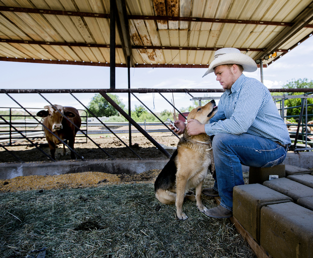 Arden Bundy and his dog Spur sit near the corrals at the Bundy Ranch in Bunkerville, Nev., on Thursday, May 19, 2016.  (Jeff Scheid/Las Vegas Review-Journal) Follow @jlscheid