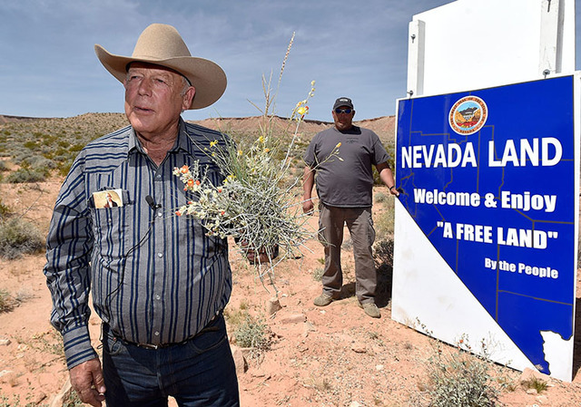 Rancher Cliven Bundy displays a bouquet of desert foliage that his cattle grazes on during a news conference at an event near his ranch in Bunkerville on Saturday, April 11, 2015.  (David Becker/L ...
