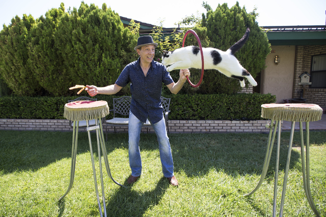 Gregory Popovich practices a jump with his cat at his North Las Vegas home June 24. Erik Verduzco/View
